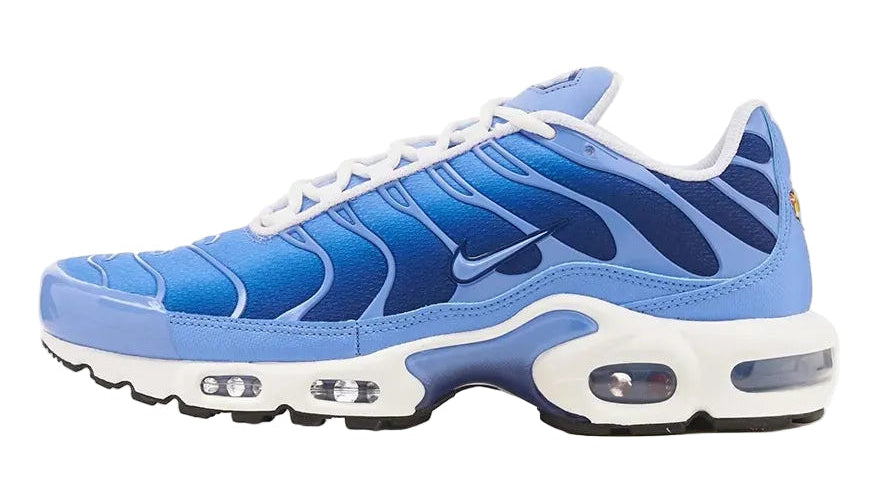 Air Max Plus Tn 1 “Royal Pulse”