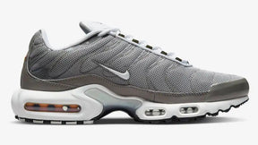 Air Max Plus TN 1 ''Flat Pewter''