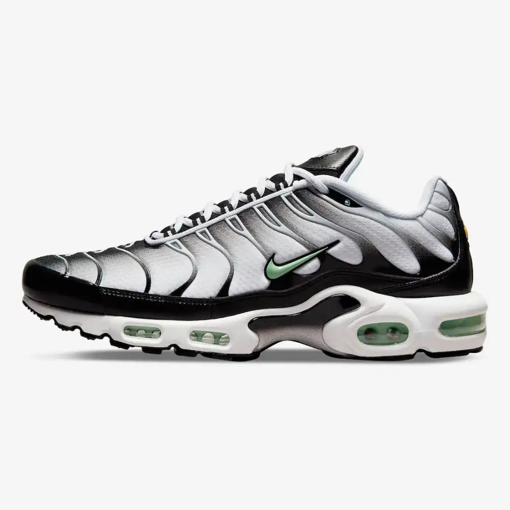 Air Max Plus TN 1 “Seafoan”