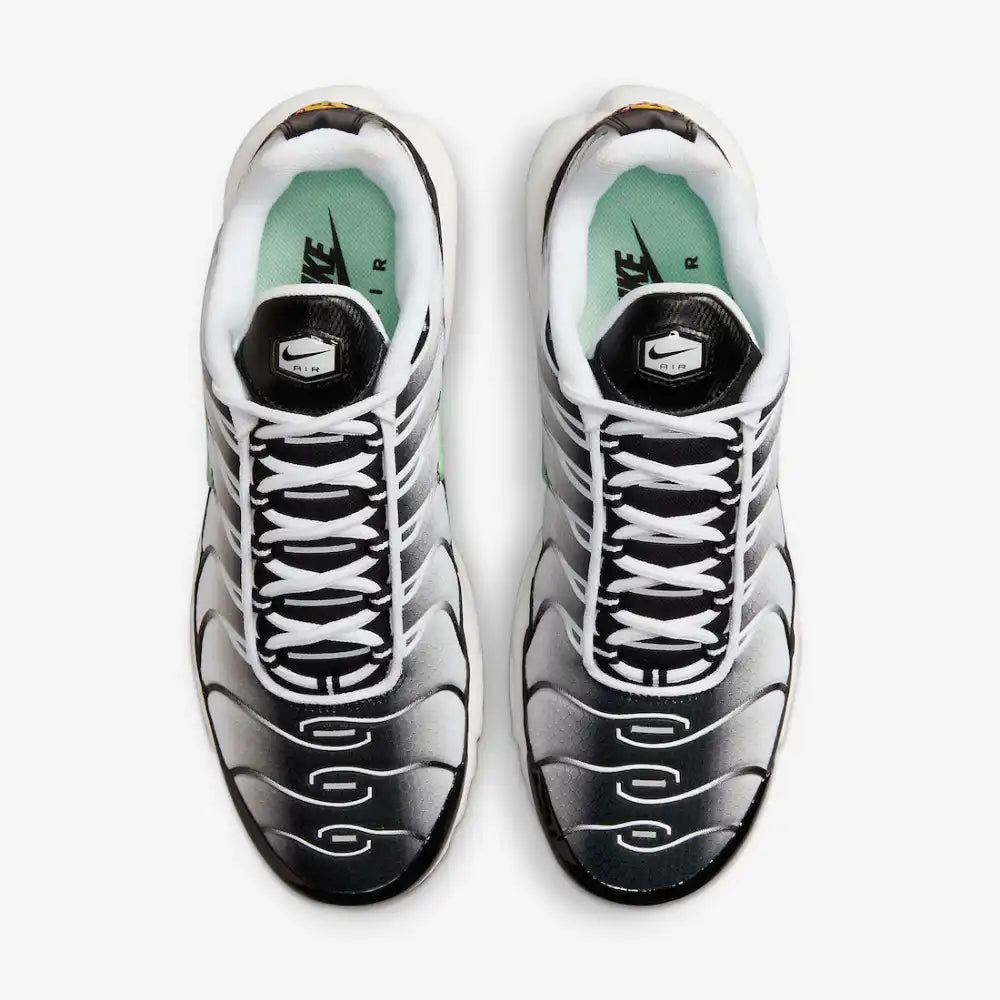 Air Max Plus TN 1 “Seafoan”