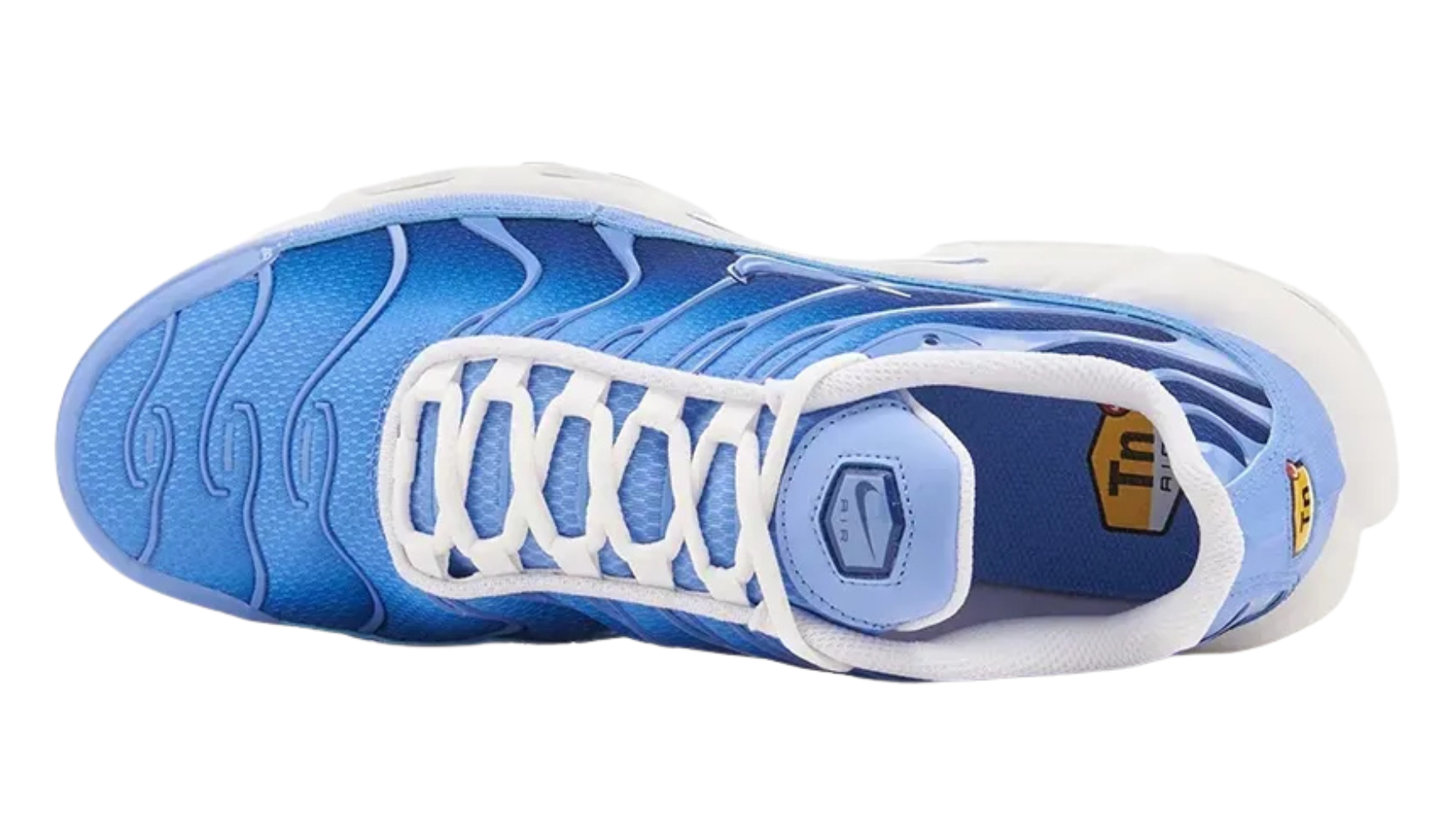 Air Max Plus Tn 1 “Royal Pulse”