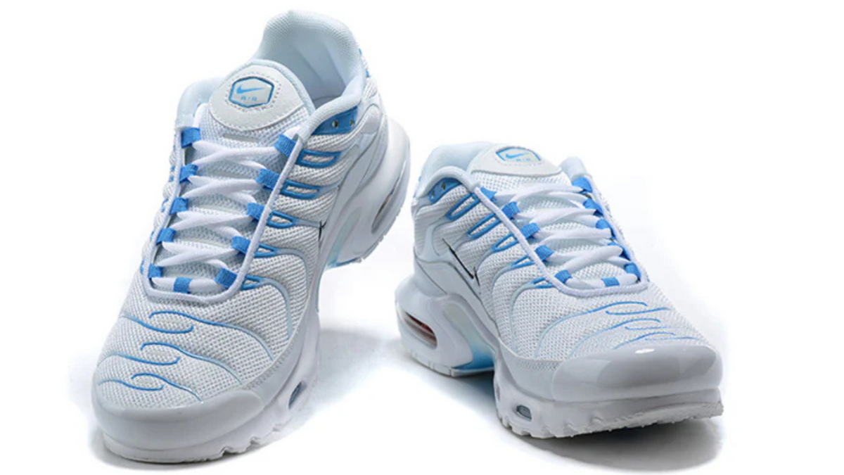 Air Max TN 1 ''Blue Flury''