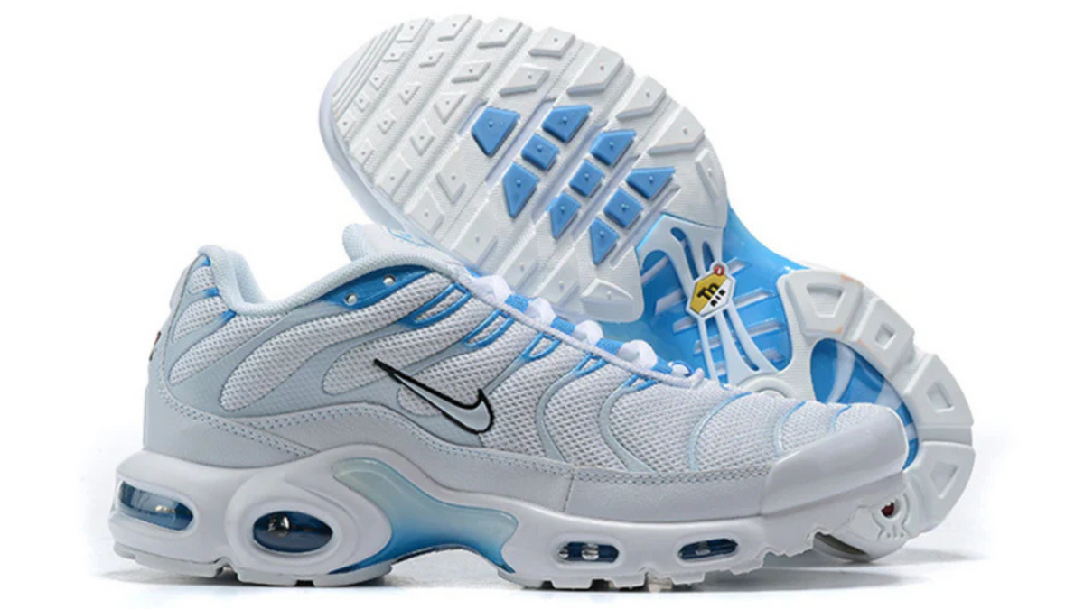 Air Max TN 1 ''Blue Flury''