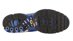 Air Max Plus Tn 1 “Royal Pulse”