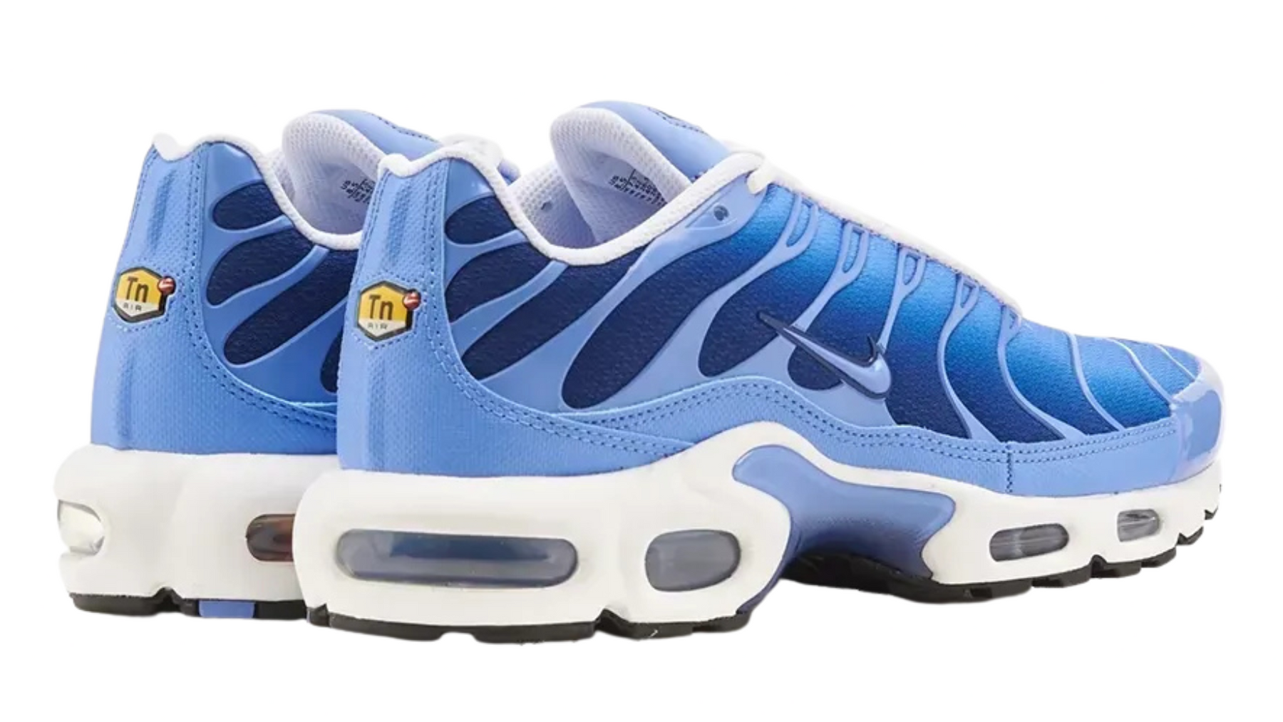 Air Max Plus Tn 1 “Royal Pulse”