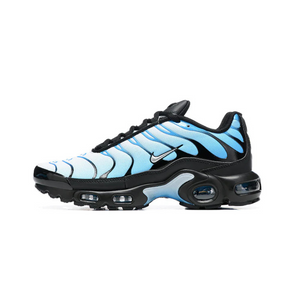 Air Max Plus Tn 1 “Blue Gradient”