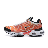 Air Max Plus Tn 1 “Light Photography”