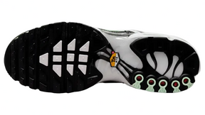 Air Max Plus TN 1 “Seafoan”