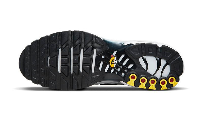 Air Max TN Plus Killer Whale