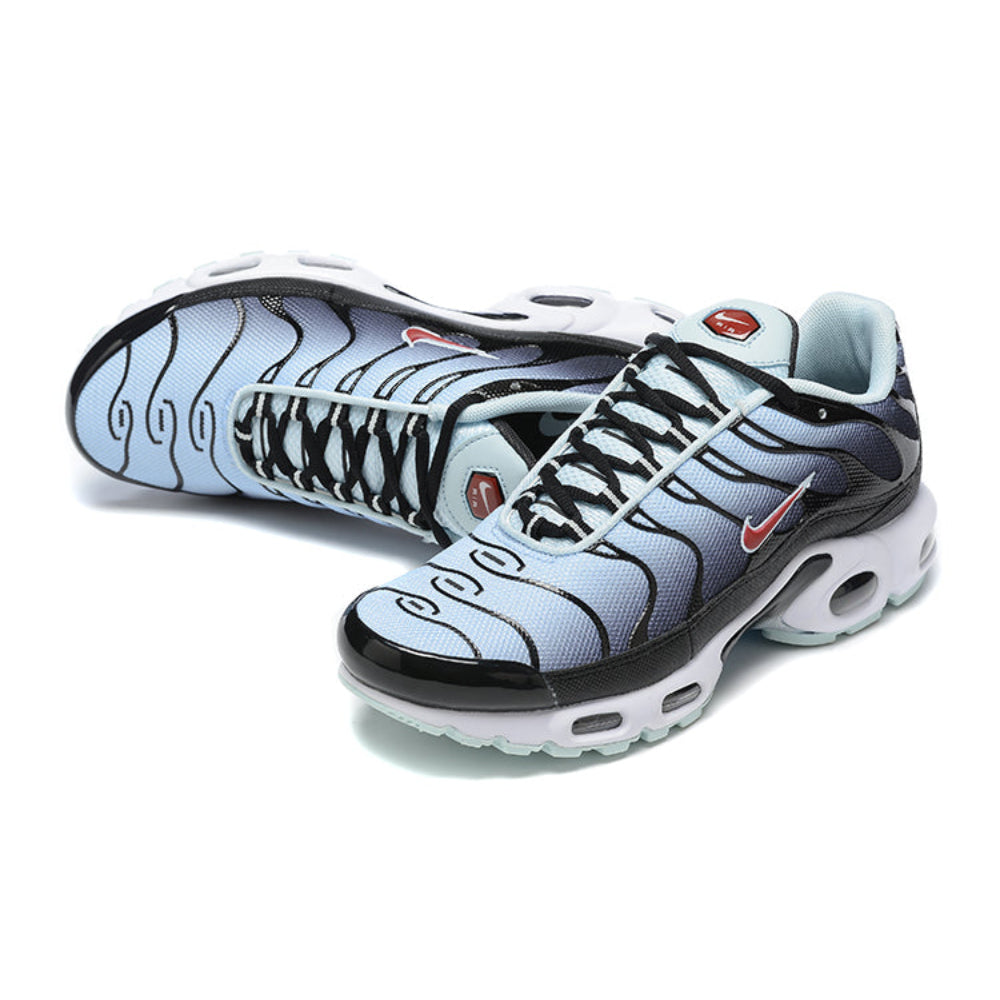 Air Max Plus TN "Swoosh"