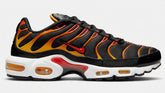 Air Max Plus TN 1 ''Reverse Sunset''